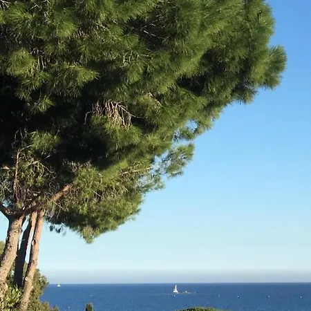 D'hotes Vue Mer A 2 Min A Pied 4* Sainte-Maxime