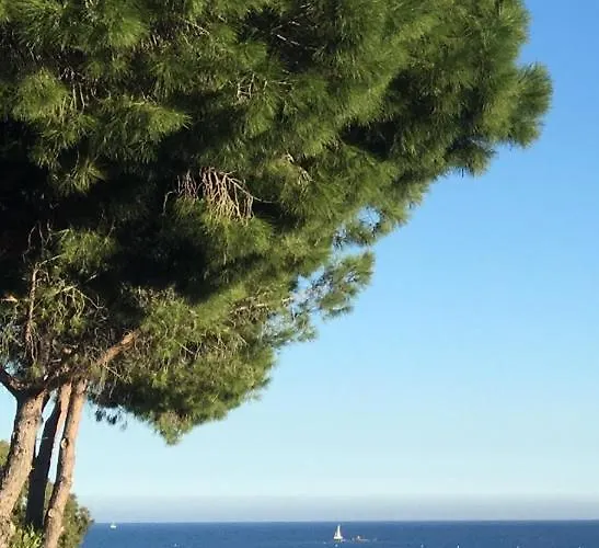 D'hotes Vue Mer A 2 Min A Pied 3* Sainte-Maxime